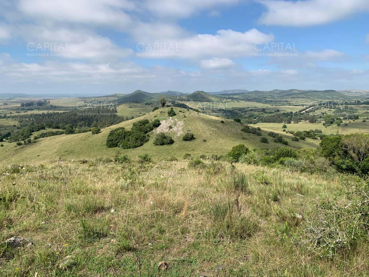 Campo 39 has. próximo a Aiguá
