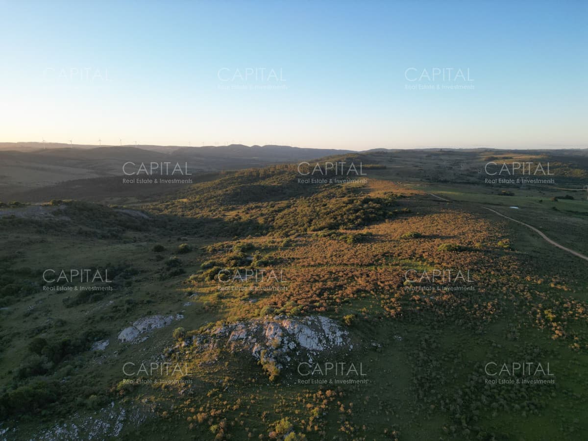 Pintoresco Campo 55 Has - Sierra de los Caracoles