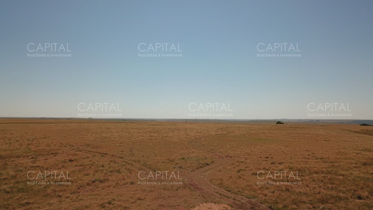 Campo Ganadero en Venta de 270 has en Aigua