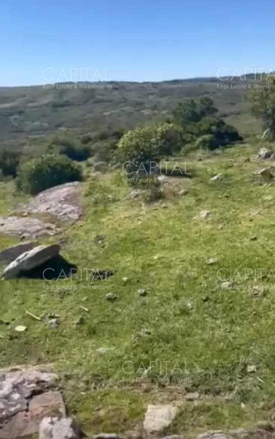 Campo Garzón Ganadero Forestal