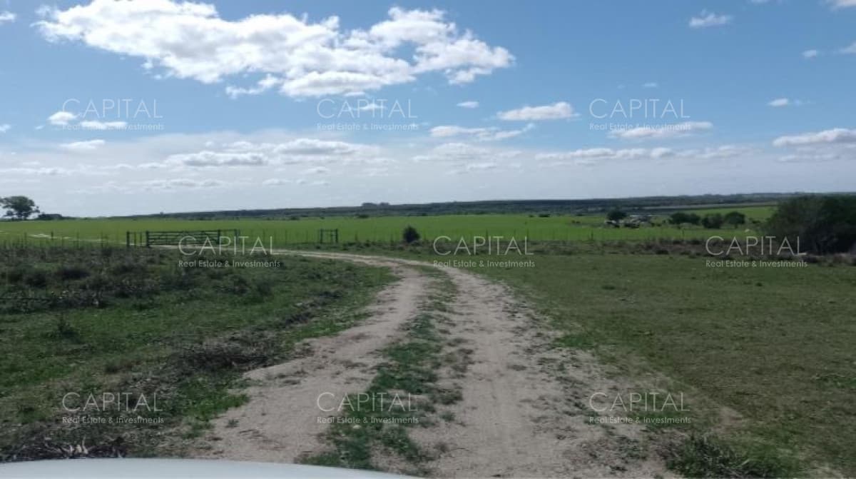 FLORES 500 Has Buen campo agrícola