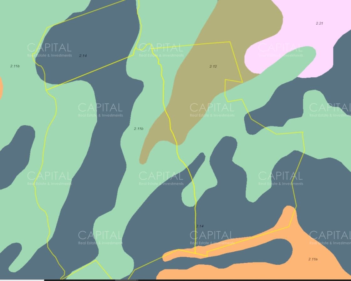 Campo de 850 has ganadero con potencial para  forestación