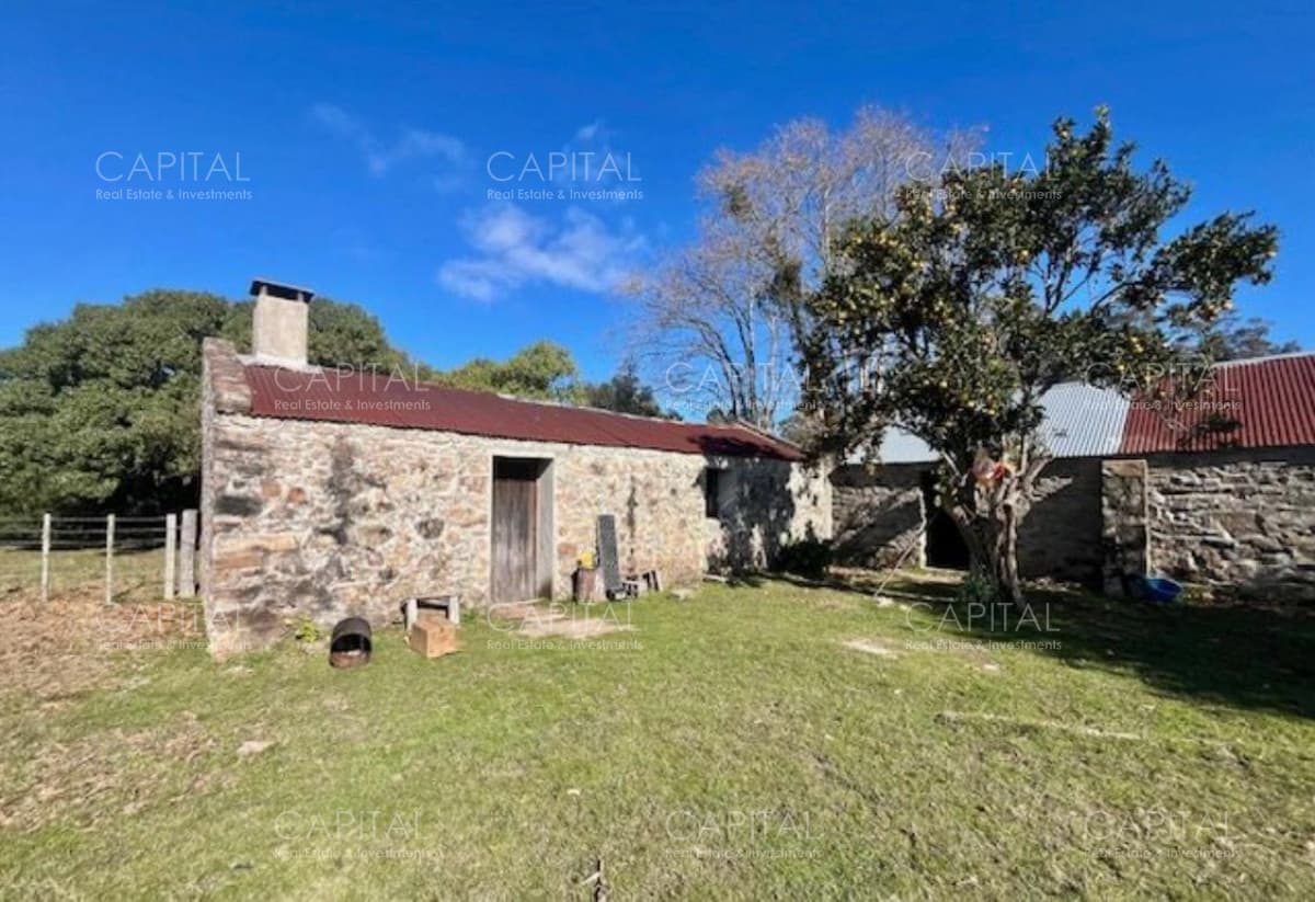 Campo 80 has - Valdivias