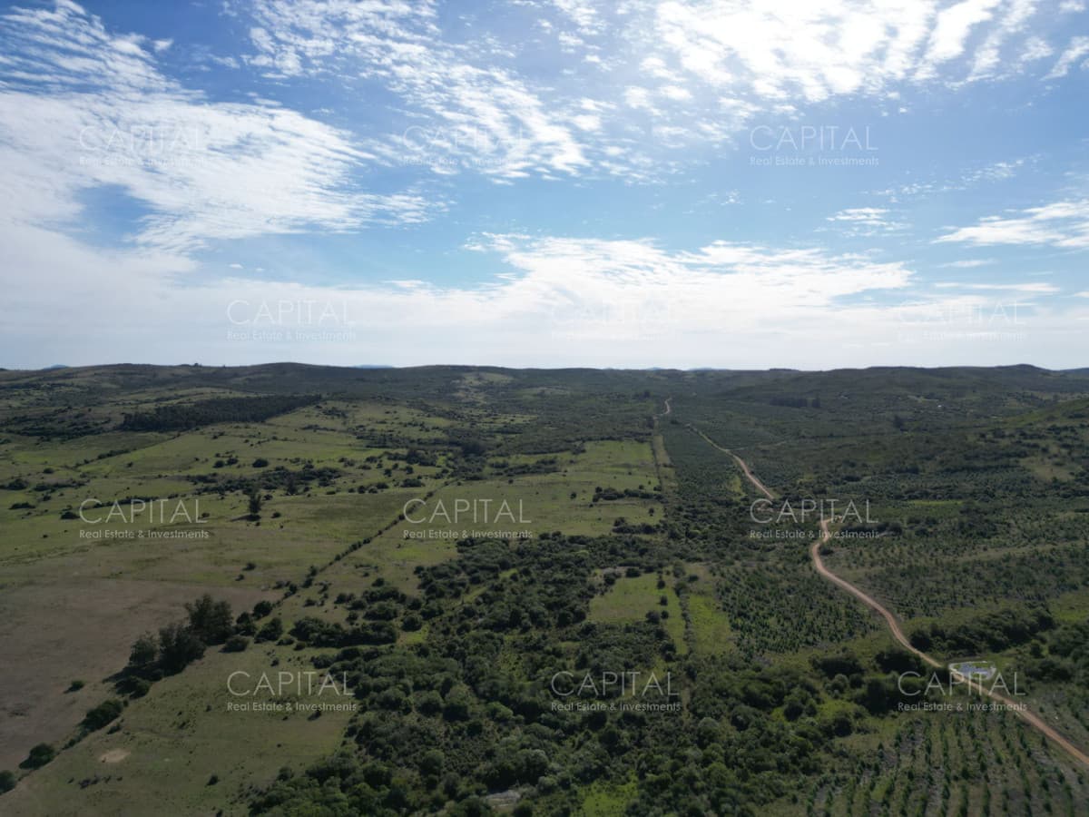 Campo en venta Pueblo Edén 69 has