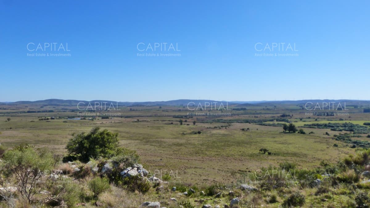 Campo ganadero a 20km de San Carlos