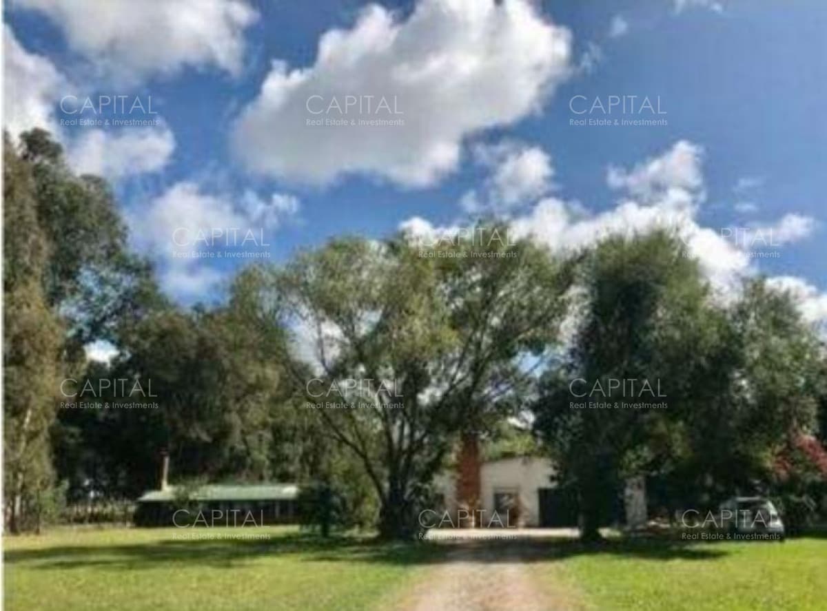 Campo agrícola-ganadero Rocha
