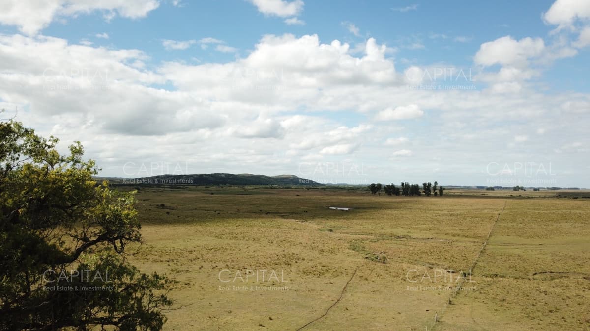 Campo Ganadero en Venta de 270 has en Aigua