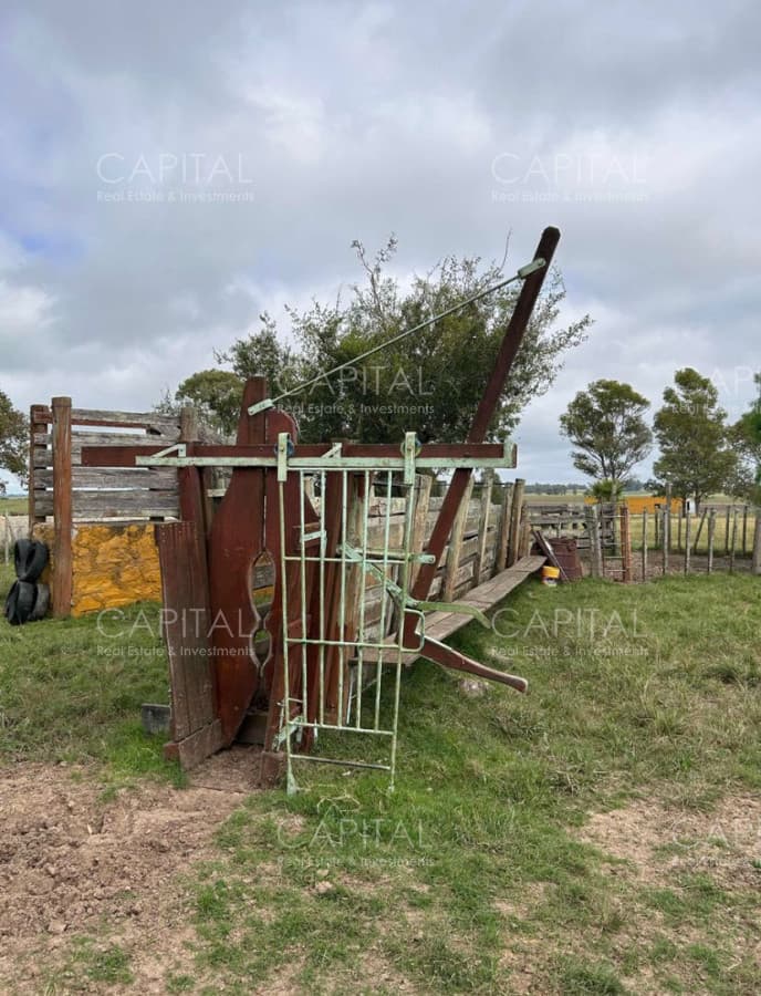 Venta Campo Sarandí Grande Florida