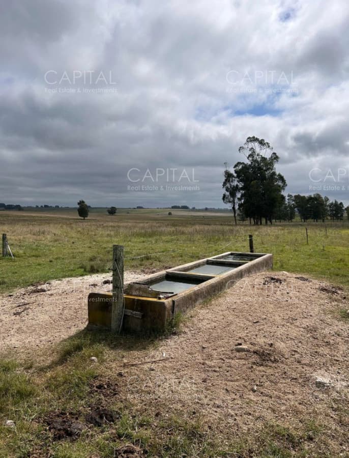 Venta Campo Sarandí Grande Florida
