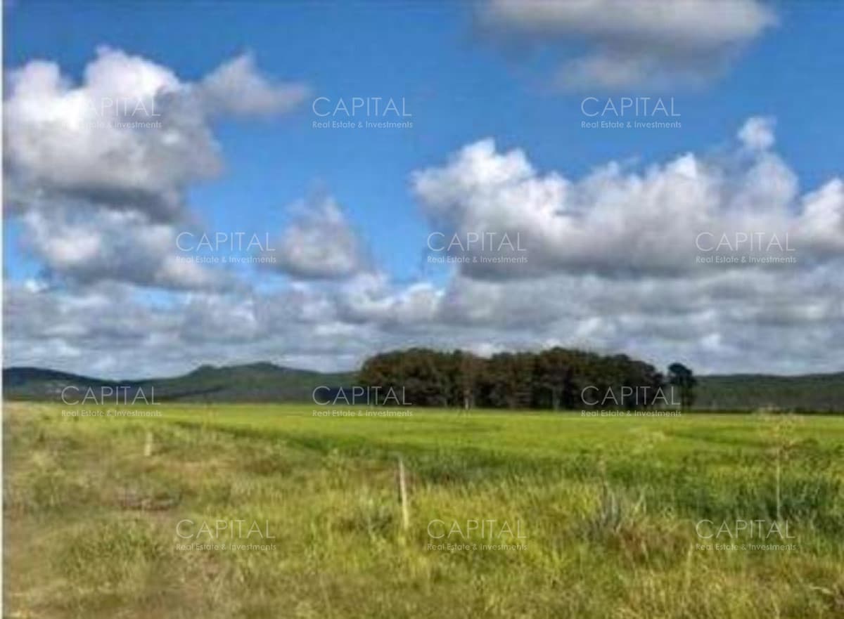 Campo agrícola-ganadero Rocha