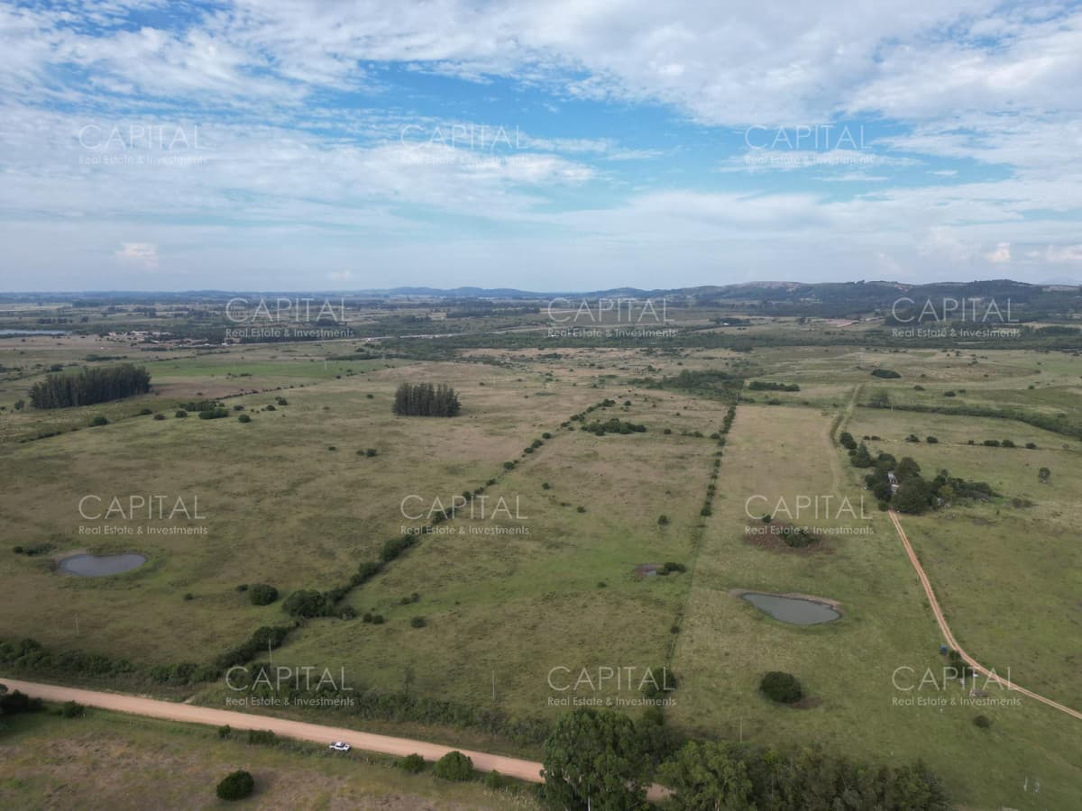 Campo de 23 has zona Abras de Perdomo