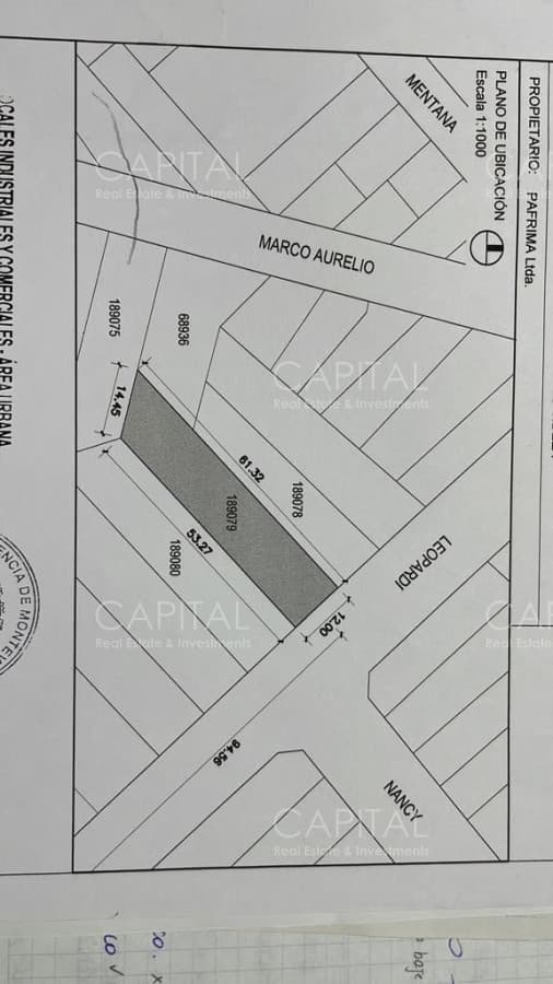 Excelente Depósito Galpón en Buceo