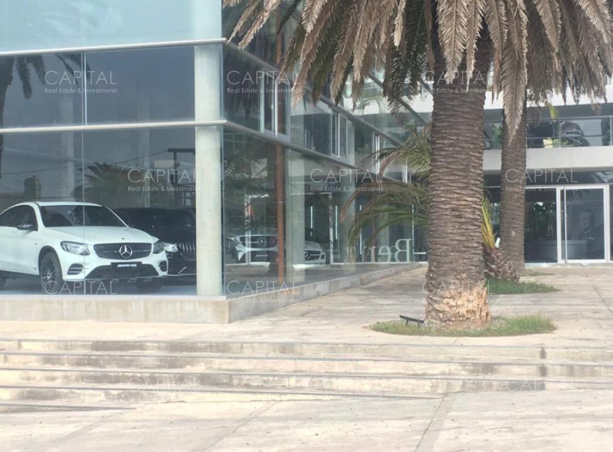 Local En Alquiler En Zona Península, Punta Del Este