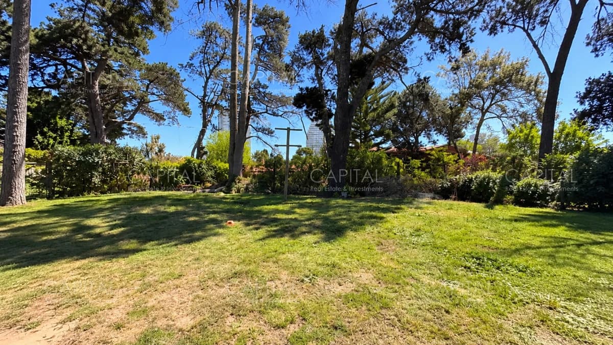 Terreno en venta en barrio Cantegril Punta del Este
