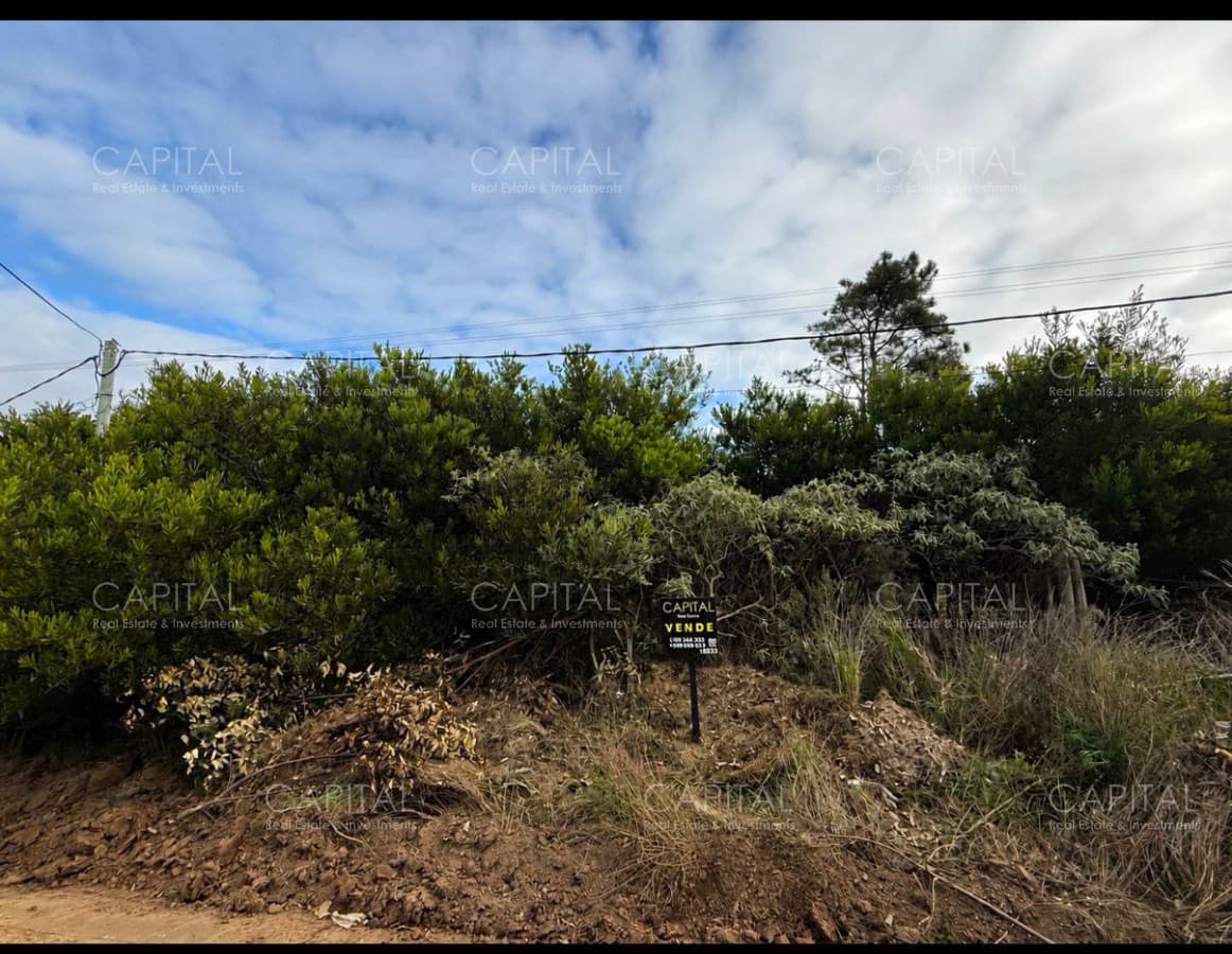 Lote en Altos de Punta Piedras