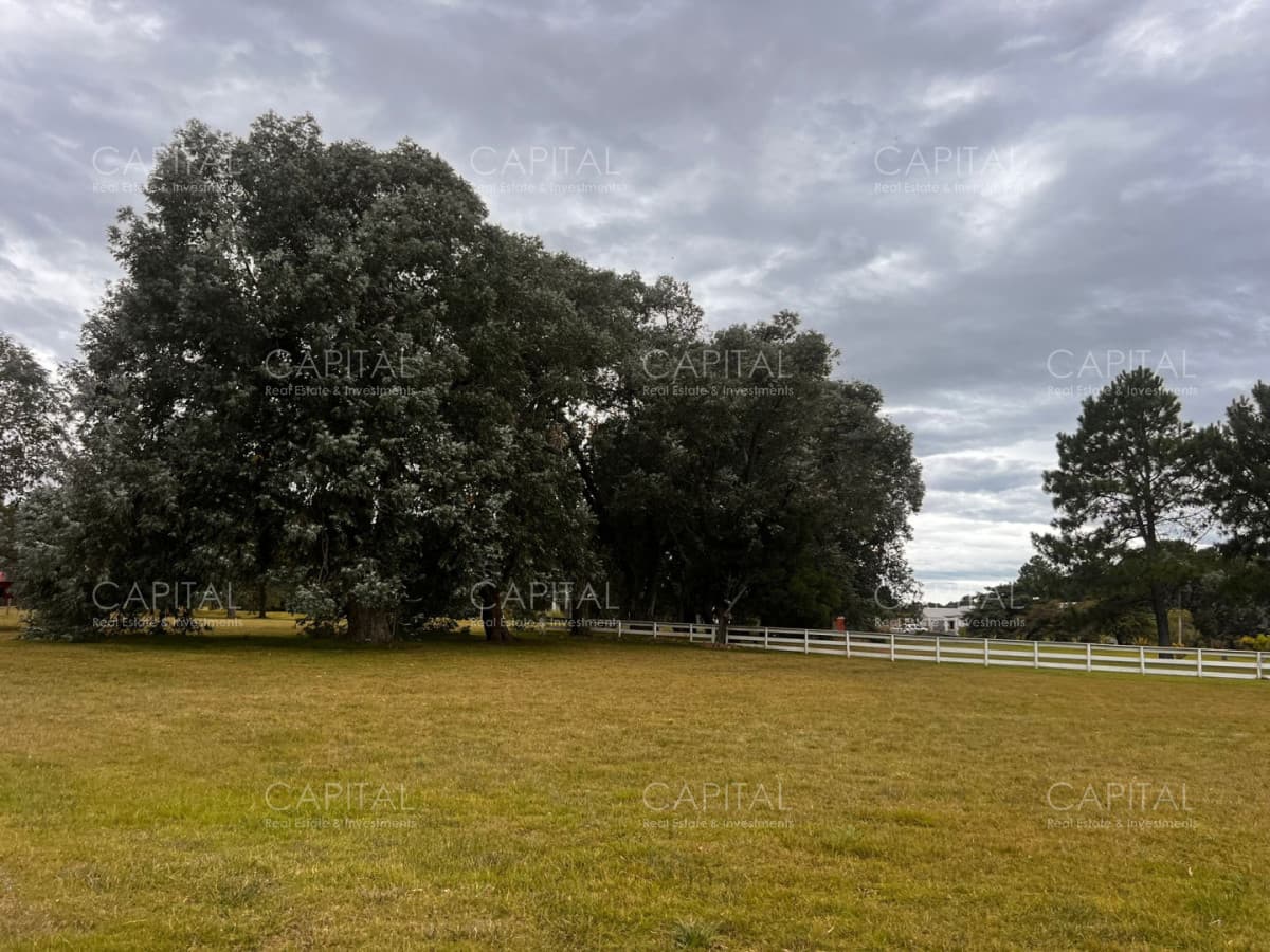 Terreno en venta en Barrio cerrado de La Barra