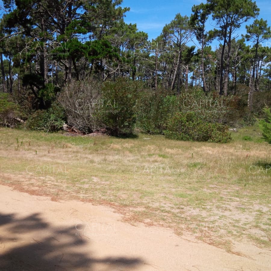 Terreno en venta El Caracol Laguna Garzón