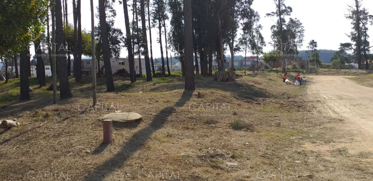 Gran terreno en venta en Lausana + Maldonado + inversores