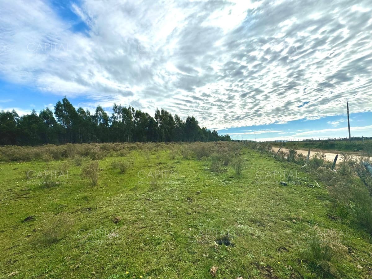 CHACRA de 5 hectáreas en Venta en Sierra de los Caracoles