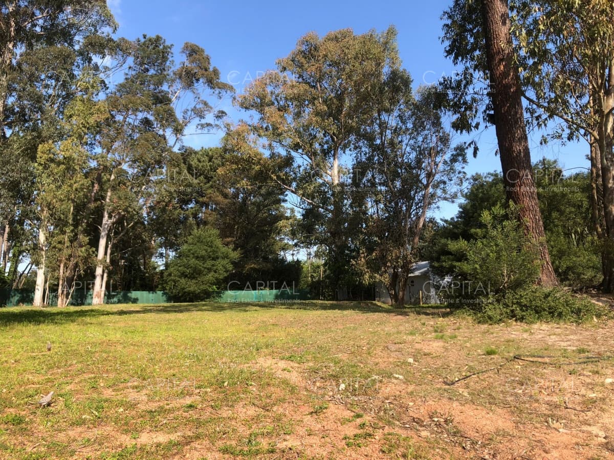 Lote en Barrio Privado, La Arbolada en Punta del Este en Venta