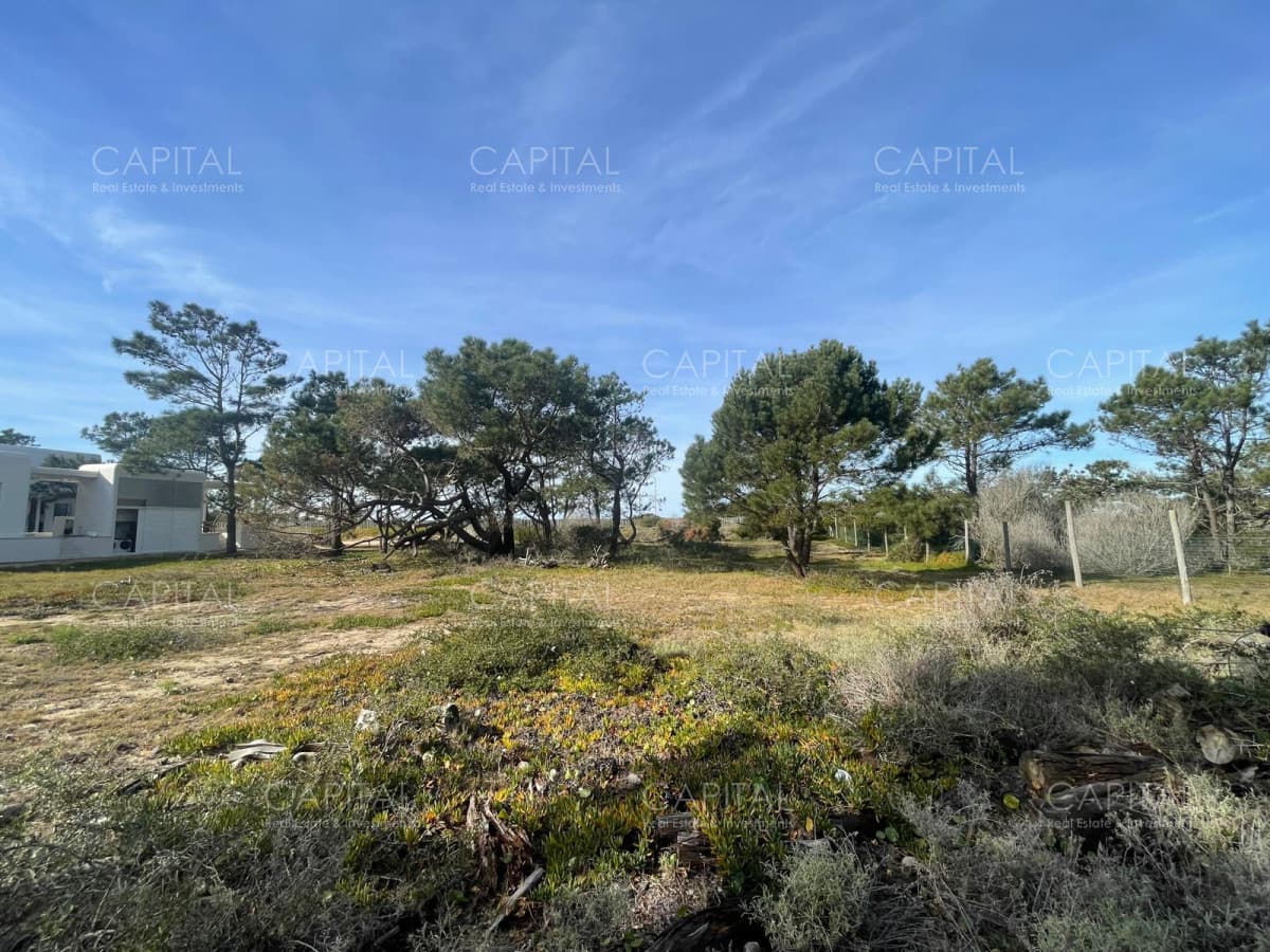 Laguna Escondida barrio privado Jose Ignacio