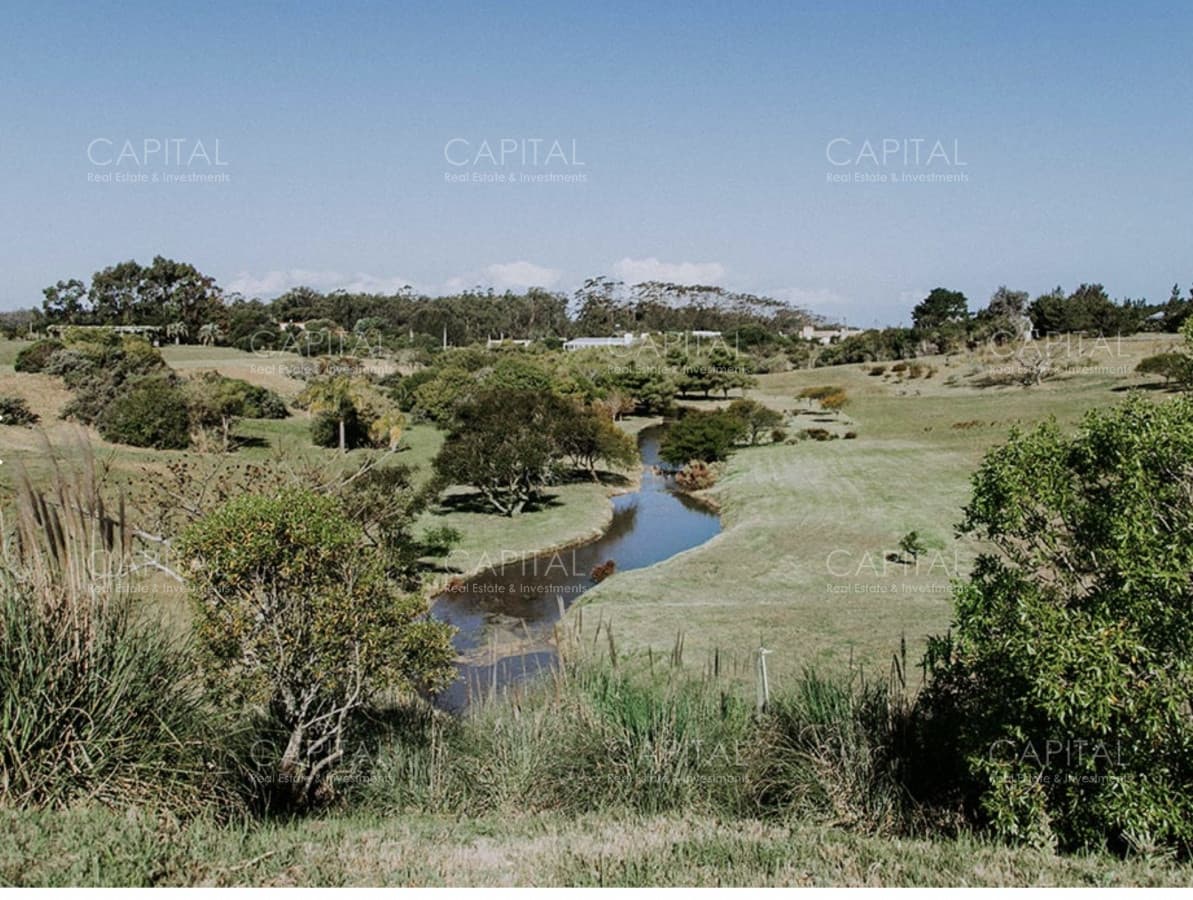 Chacra en Venta en Lomas de San Vicente