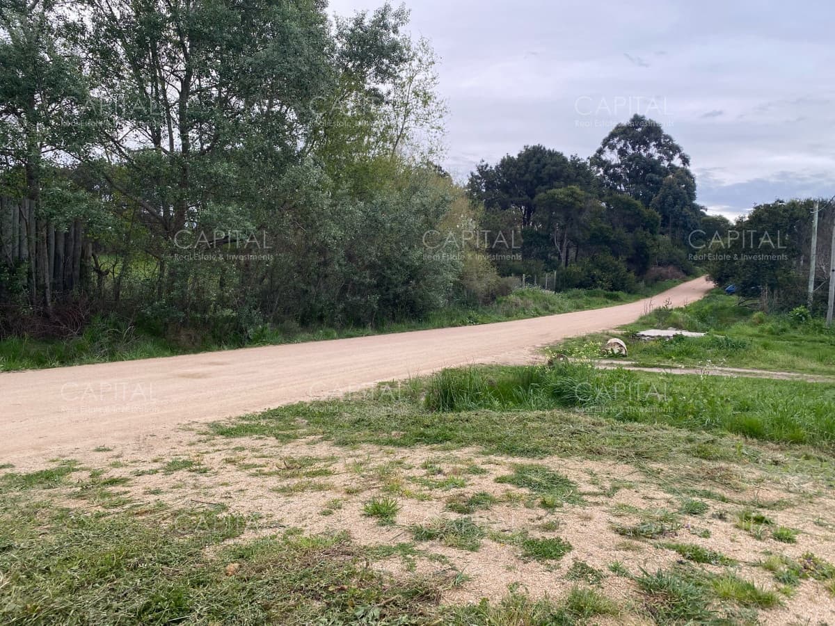 Venta de Terreno en La Bota, Manantiales