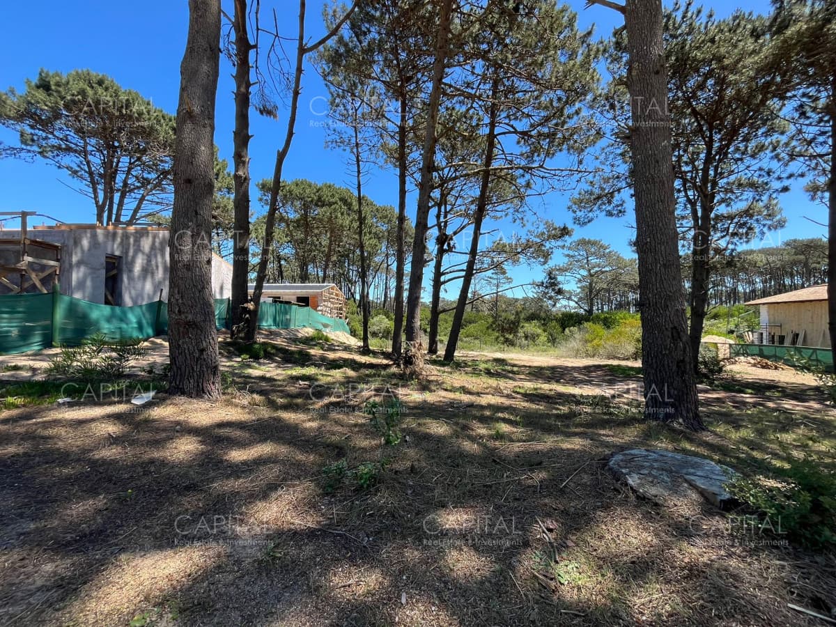 Terreno Pinar Del Faro José Ignacio