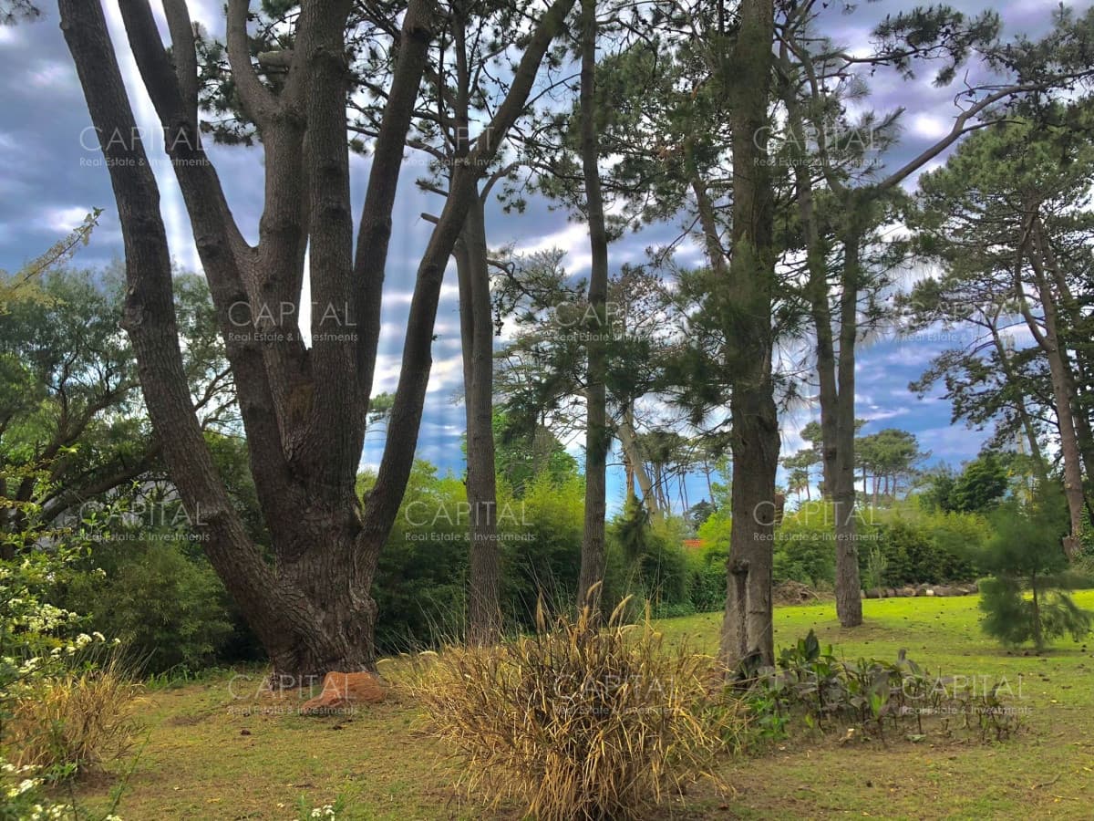 Lote en venta en Playa Brava, Punta del Este