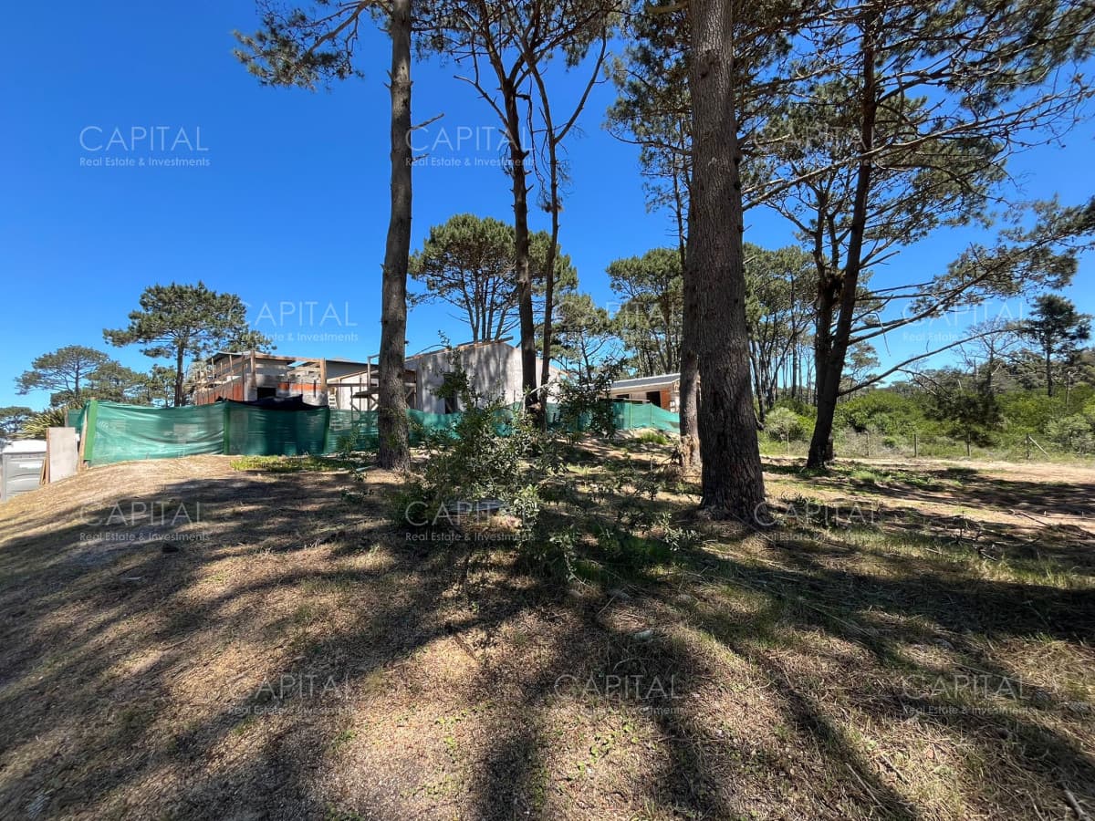 Terreno Pinar Del Faro José Ignacio
