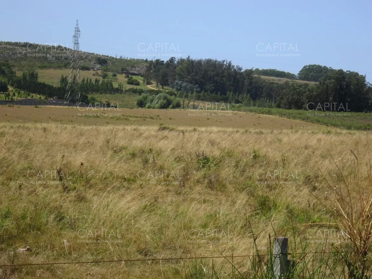 Lote en venta en Cerro Eguzquiza Ideal para barrio privado e inversionistas.