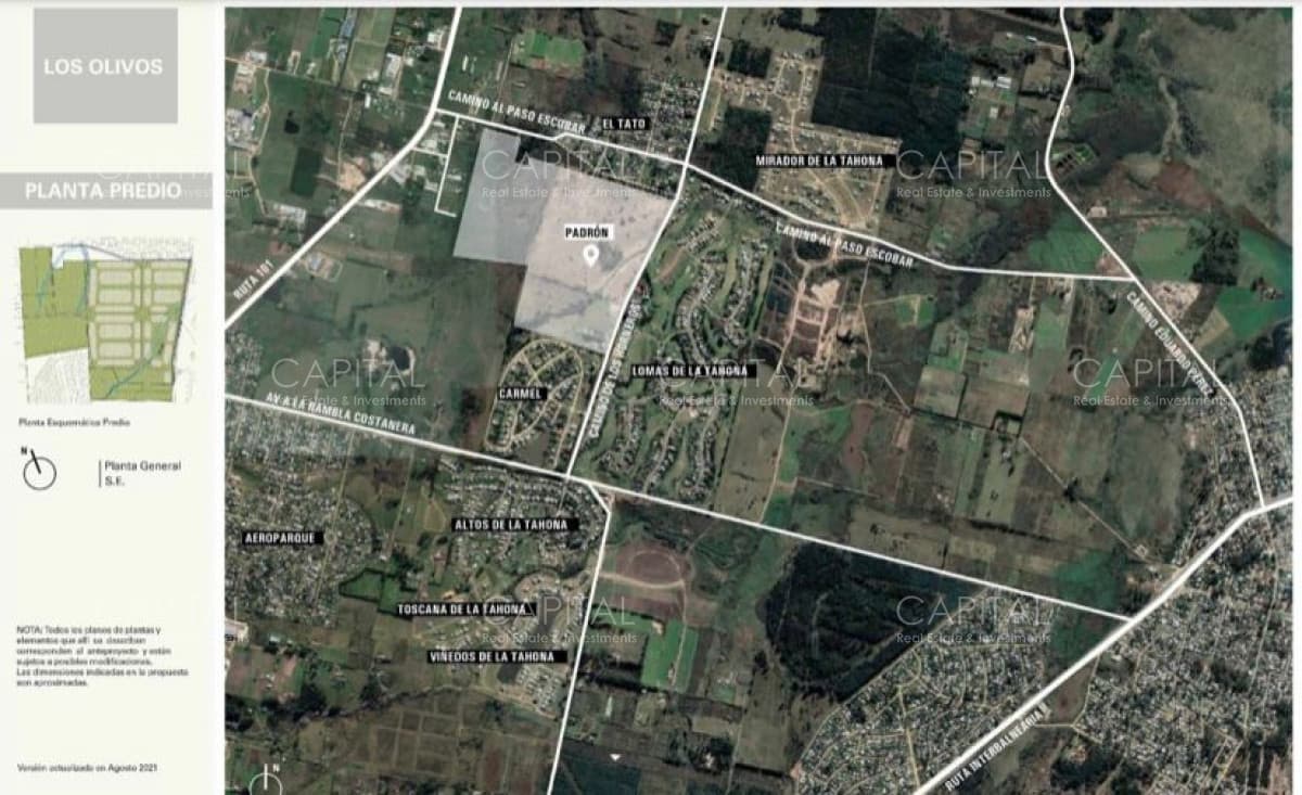 Terreno Venta Olivos de La Tahona
