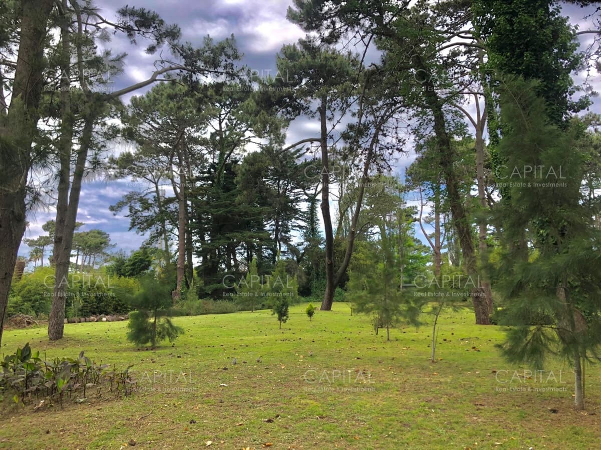 Lote en venta en Playa Brava, Punta del Este