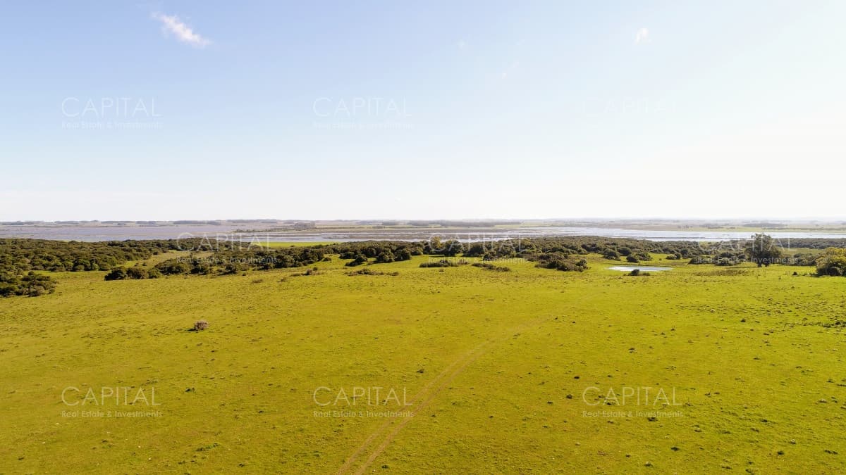 Lote de 108 Hectareas en El Caracol - Garzon