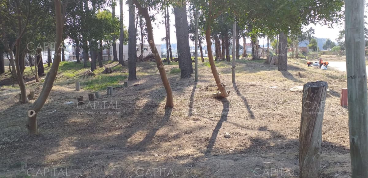Gran terreno en venta en Lausana + Maldonado + inversores