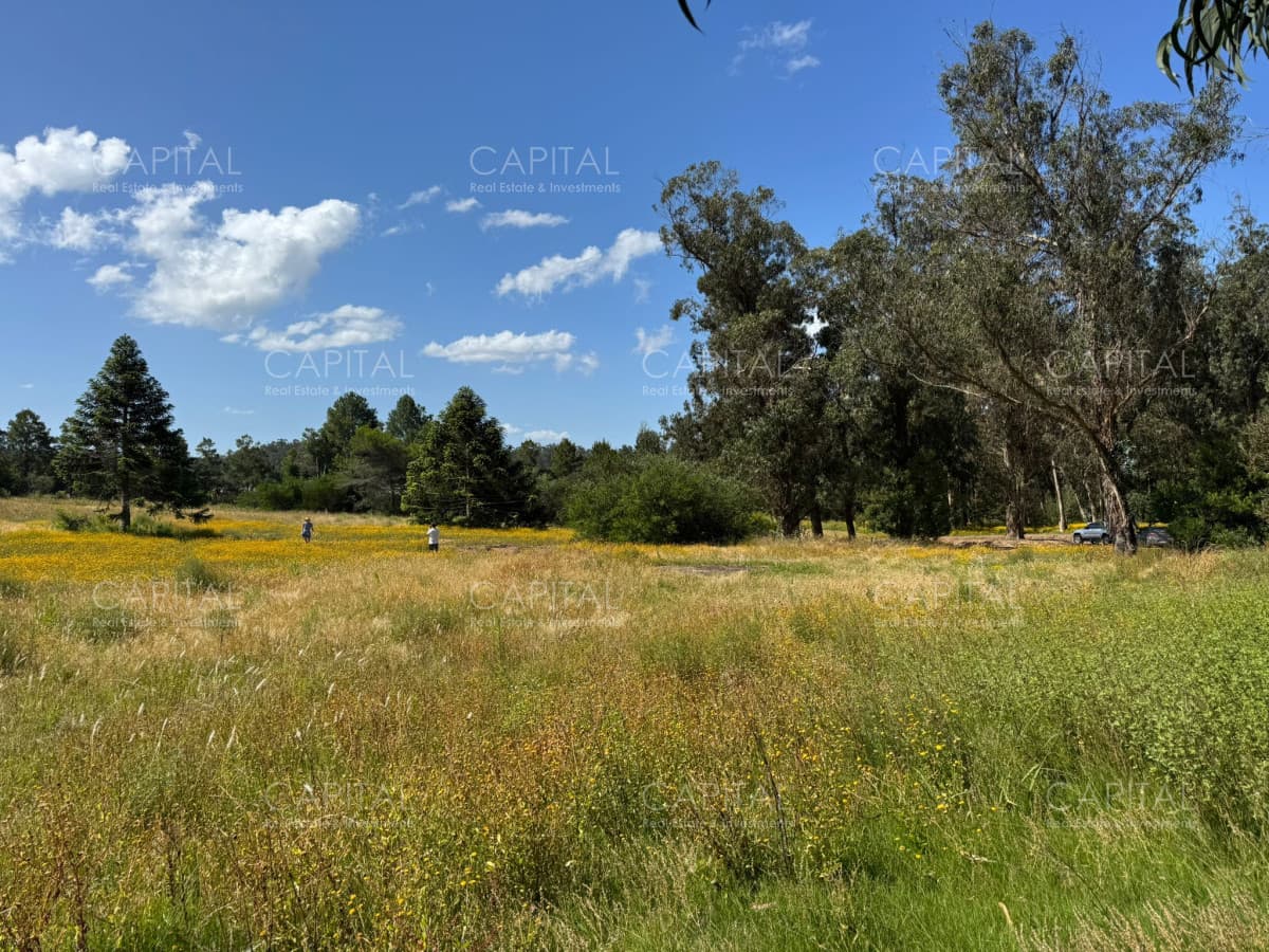 Lote en venta en Mangrullos de Punta Piedra