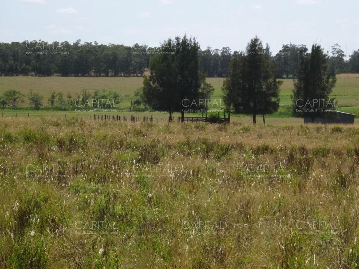 Lote en venta en Cerro Eguzquiza Ideal para barrio privado e inversionistas.