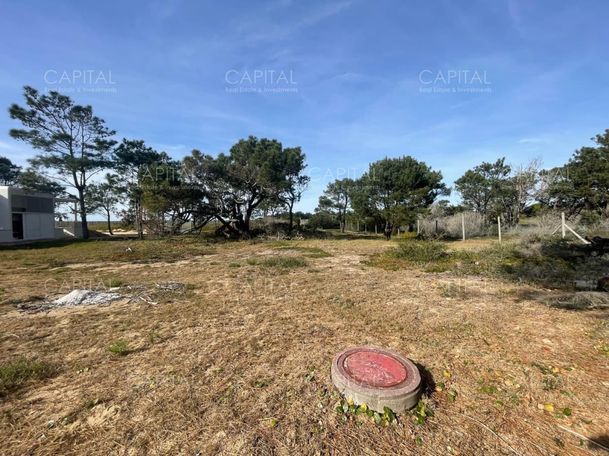 Laguna Escondida barrio privado Jose Ignacio