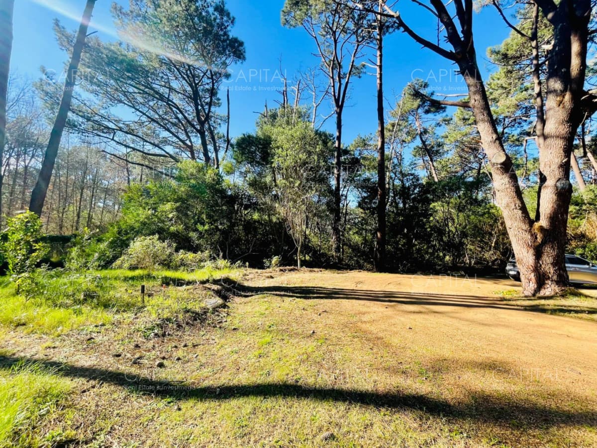 Oportunidad Lote en barrio cerrado Reserva Montoya La Barra