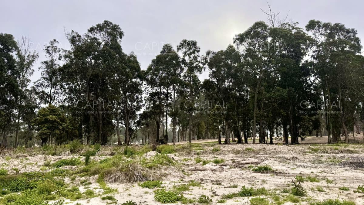 Terreno en venta en Barrio Privado Distrito 52 - La Cañada