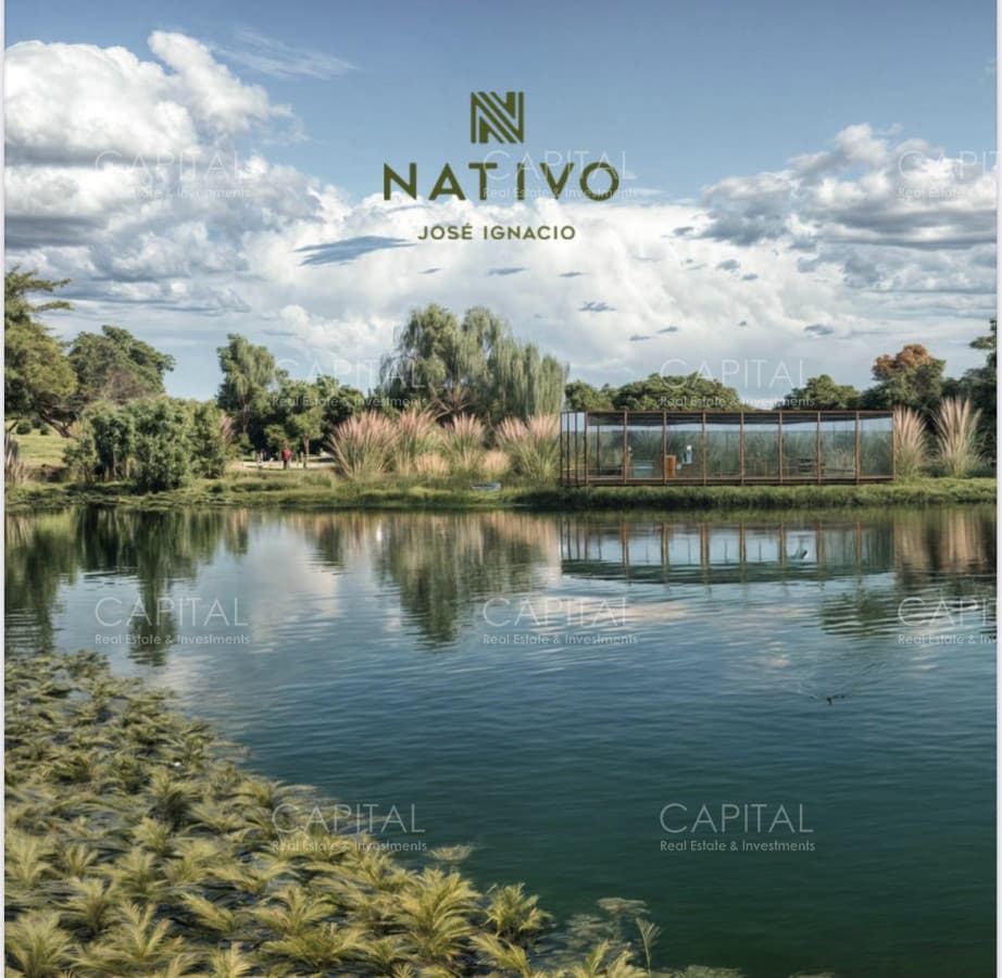 NATIVO - JOSÉ IGNACIO