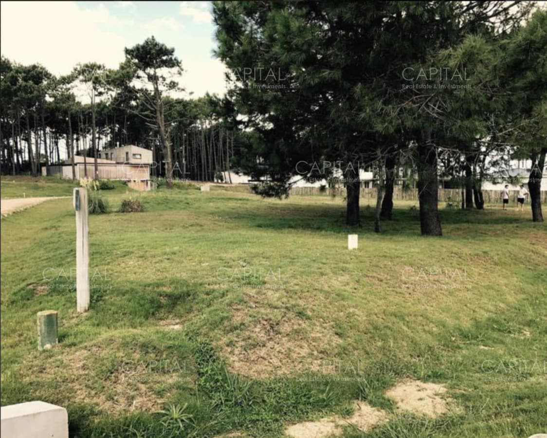 Lote en venta Pinar del Faro en José Ignacio