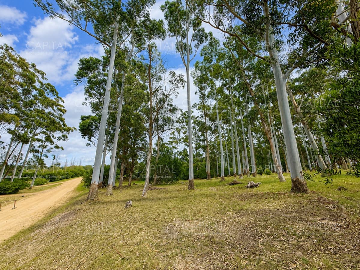 Excelente terreno en venta en Laguna Estates Manantiales