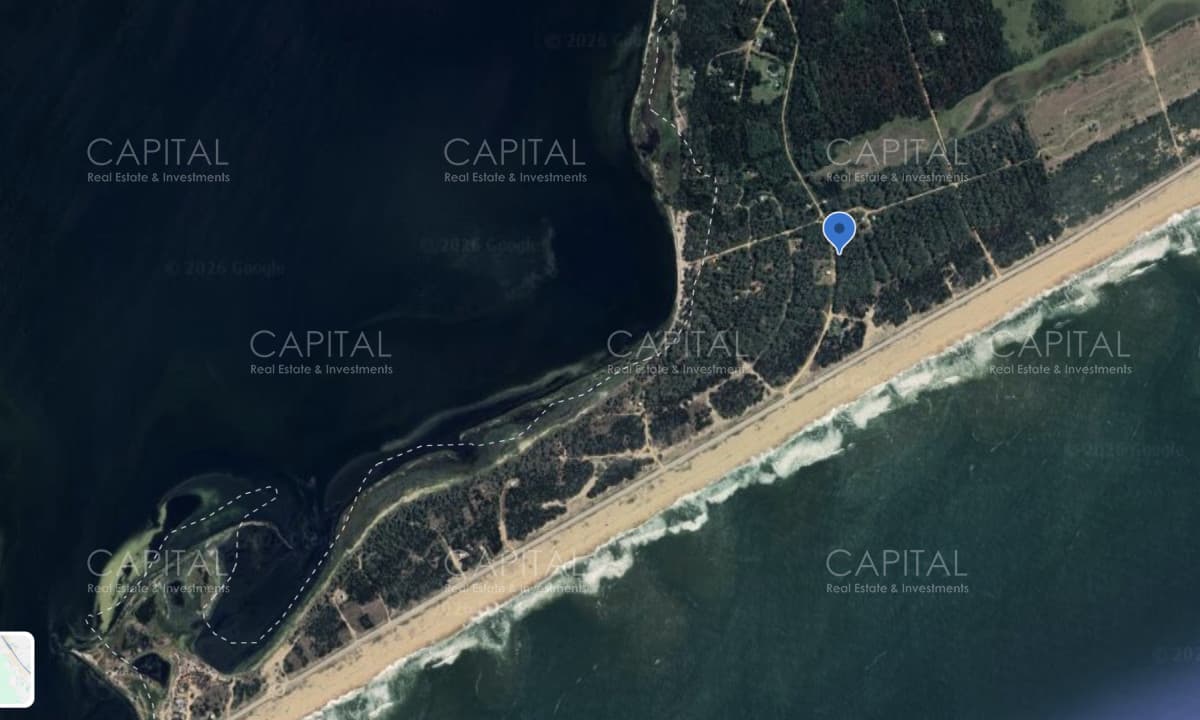 El Caracol - Jose Ignacio