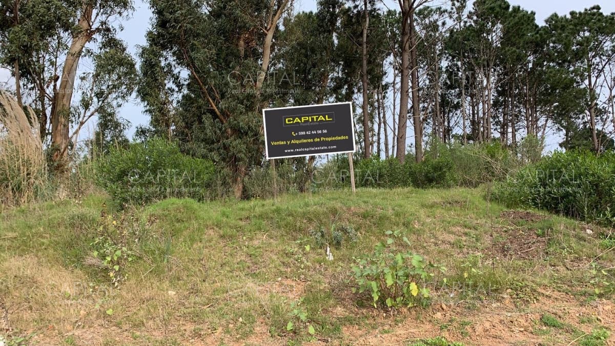 Gran terreno en venta en Lausana + Maldonado + inversores