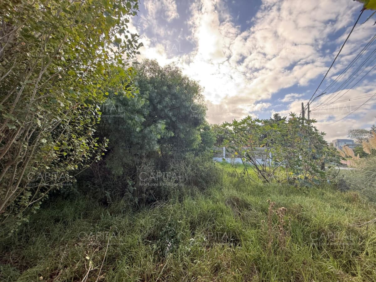 Lote en Altos de Punta Piedras