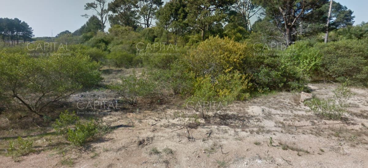 Terreno en venta en Chihuahua Punta Ballena