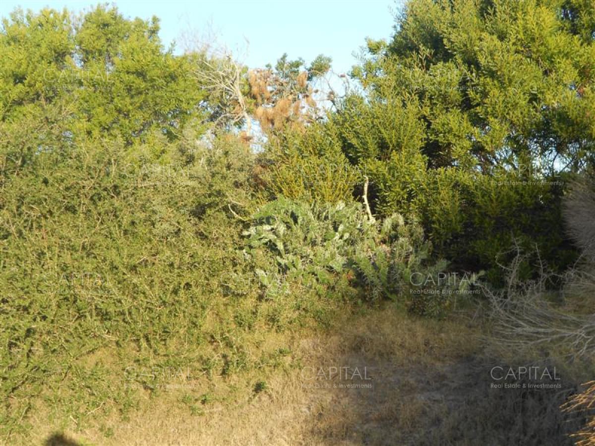 Terreno de 900 m² en La Juanita