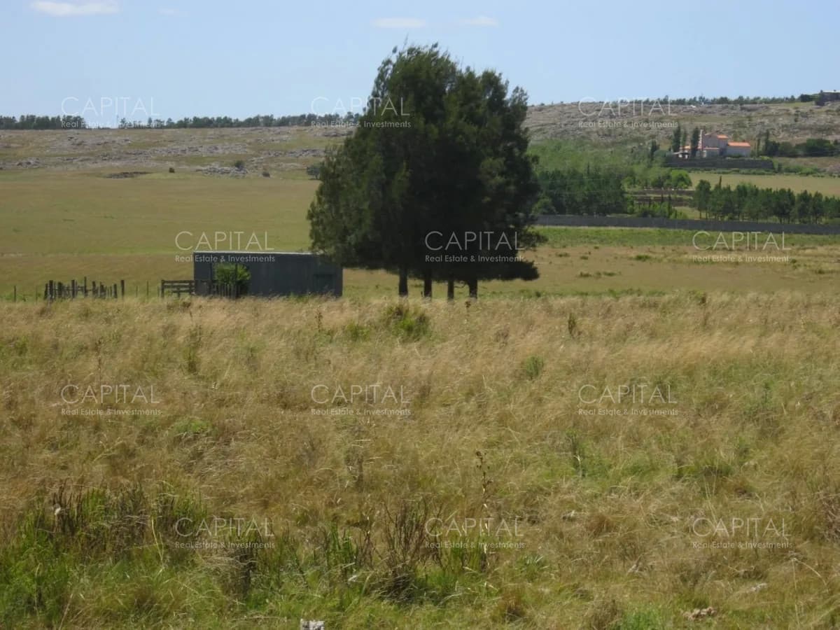 Lote en venta en Cerro Eguzquiza Ideal para barrio privado e inversionistas.