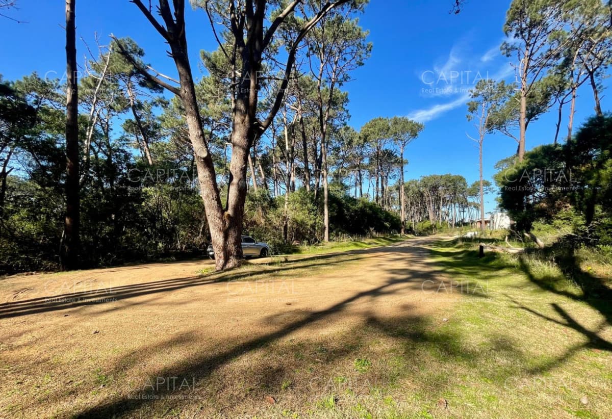 Oportunidad Lote en barrio cerrado Reserva Montoya La Barra